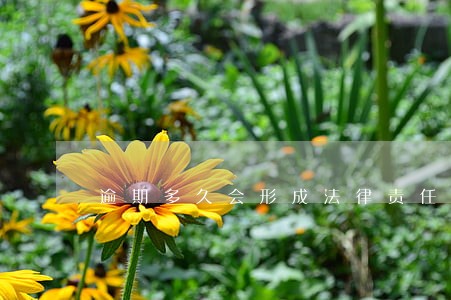逾期多久会形成法律责任