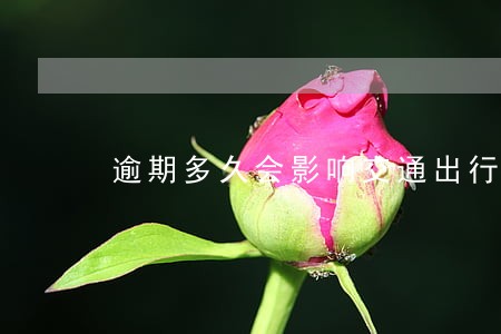 逾期多久会影响交通出行 逾期多久会影响交通出行