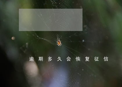 逾期多久会恢复征信 逾期多久会恢复征信