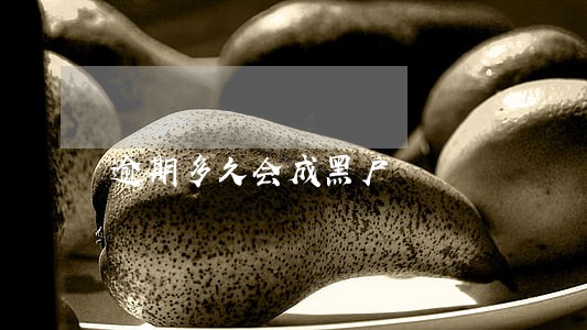 逾期多久会成黑户 逾期多久会成黑户