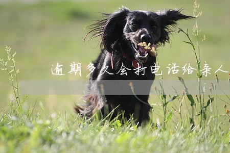 逾期多久会打电话给亲人 逾期多久会打电话给亲人