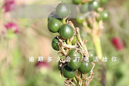 逾期多久会打电话给你 逾期多久会打电话给你
