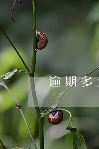 逾期多久会打电话给联络人 逾期多久会打电话给联络人