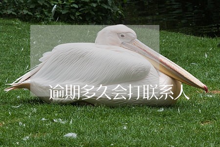 逾期多久会打联系人 逾期多久会打联系人