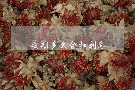 逾期多久会扣利息 逾期多久会扣利息