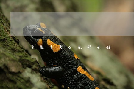 逾期多久会执行失信