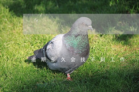 逾期多久会找不到工作 逾期多久会找不到工作