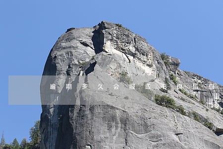 逾期多久会报送不良信息