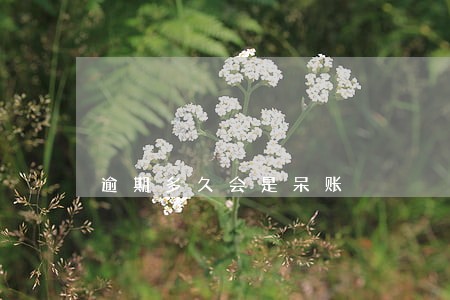 逾期多久会是呆账 逾期多久会是呆账
