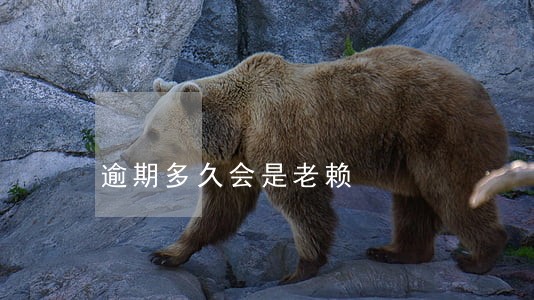 逾期多久会是老赖 逾期多久会是老赖