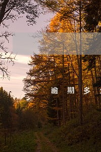 逾期多久会有不良记录上征信 逾期多久会有不良记录上征信