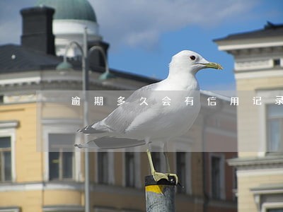 逾期多久会有信用记录