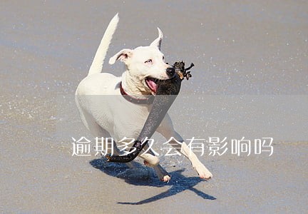 逾期多久会有影响吗 逾期多久会有影响吗