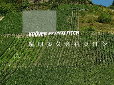 逾期多久会有支付令 逾期多久会有支付令