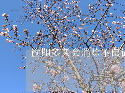 逾期多久会消除不良记录 逾期多久会消除不良记录