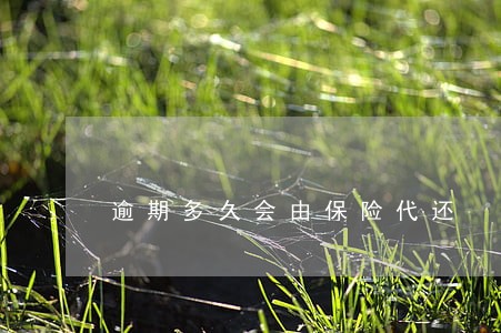 逾期多久会由保险代还 逾期多久会由保险代还