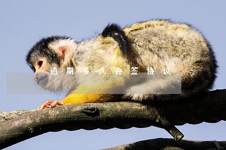 逾期多久会签协议 逾期多久会签协议