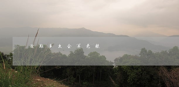 逾期多久会算老赖 逾期多久会算老赖