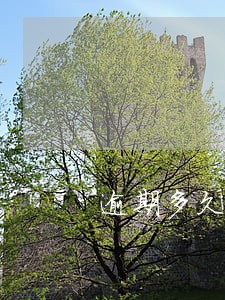 逾期多久会纳入失信人员 逾期多久会纳入失信人员