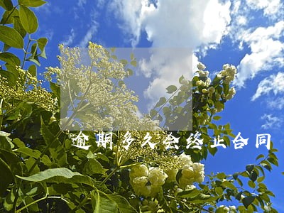 逾期多久会终止合同 逾期多久会终止合同