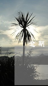 逾期多久会给你打电话 逾期多久会给你打电话