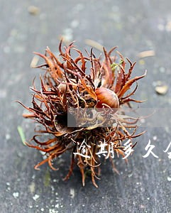 逾期多久会给家人发短信 逾期多久会给家人发短信