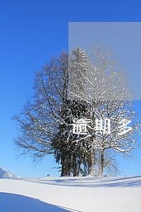 逾期多久会给家里人打电话 逾期多久会给家里人打电话