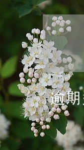 逾期多久会给打电话 逾期多久会给打电话