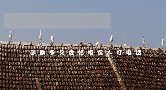 逾期多久会给担保人打电话 逾期多久会给担保人打电话
