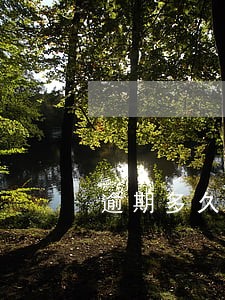 逾期多久会给父母打电话 逾期多久会给父母打电话