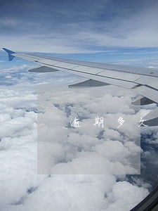 逾期多久会网络仲裁 逾期多久会网络仲裁