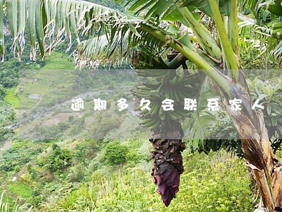 逾期多久会联系家人 逾期多久会联系家人