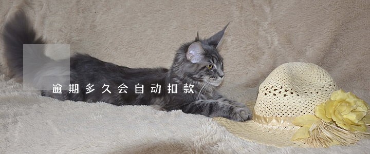 逾期多久会自动扣款 逾期多久会自动扣款