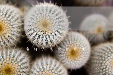 逾期多久会被停卡 逾期多久会被停卡