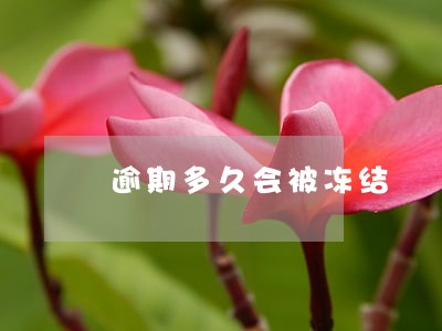 逾期多久会被冻结 逾期多久会被冻结