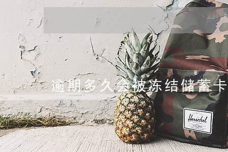 逾期多久会被冻结储蓄卡 逾期多久会被冻结储蓄卡