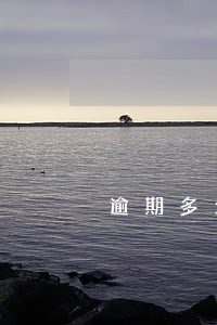 逾期多久会被冻结财产