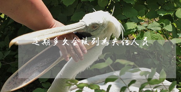逾期多久会被列为失信人员 逾期多久会被列为失信人员