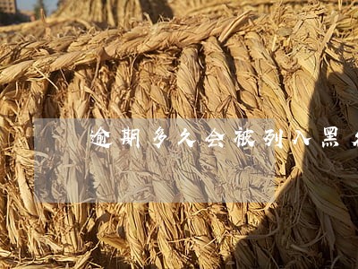 逾期多久会被列入黑名单