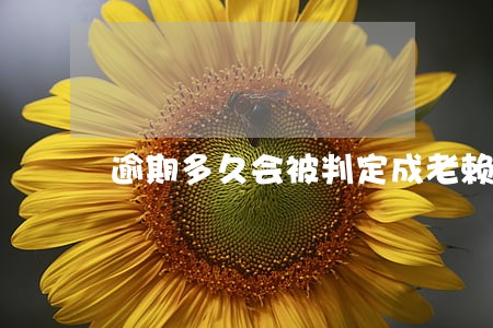 逾期多久会被判定成老赖 逾期多久会被判定成老赖