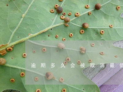 逾期多久会被取消最低还款 逾期多久会被取消最低还款