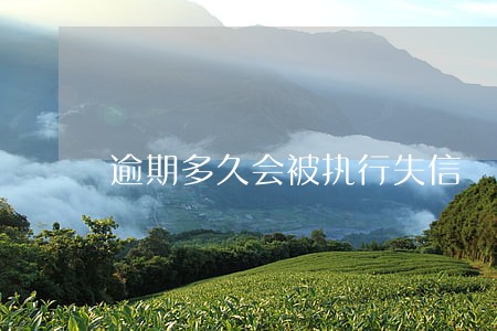 逾期多久会被执行失信 逾期多久会被执行失信