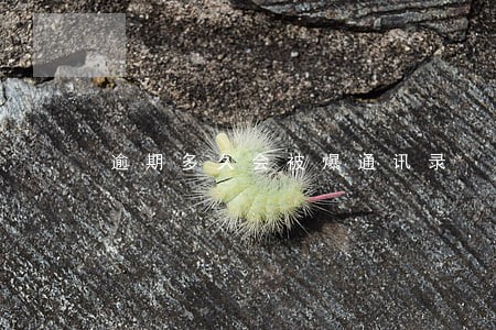 逾期多久会被爆通讯录 逾期多久会被爆通讯录