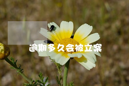 逾期多久会被立案 逾期多久会被立案