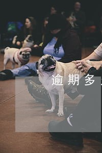逾期多久会被降额度 逾期多久会被降额度
