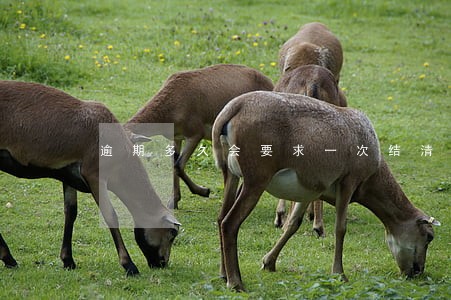 逾期多久会要求一次结清 逾期多久会要求一次结清