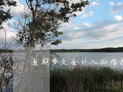 逾期多久会计入征信报告 逾期多久会计入征信报告