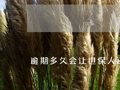 逾期多久会让担保人还款 逾期多久会让担保人还款