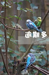 逾期多久会走法律 逾期多久会走法律