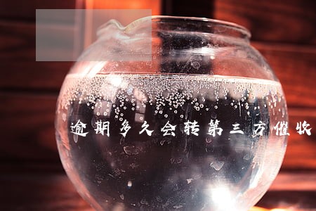逾期多久会转第三方催收 逾期多久会转第三方催收